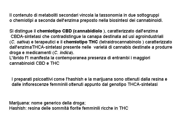 Il contenuto di metaboliti secondari vincola la tassonomia in due sottogruppi o chemiotipi a