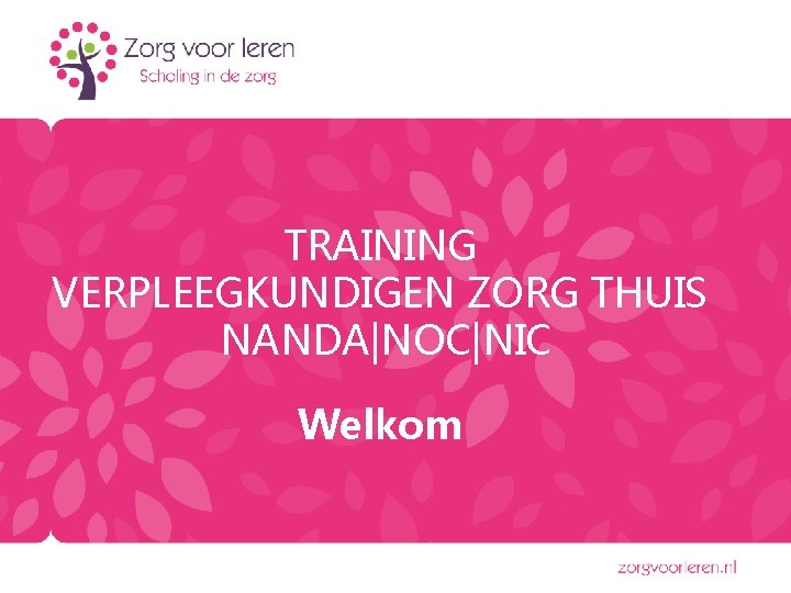 TRAINING VERPLEEGKUNDIGEN ZORG THUIS NANDA|NOC|NIC Welkom TRAINING VERPLEEGKUNDIGEN ZORG THUIS NANDA|NOC|NIC Welkom