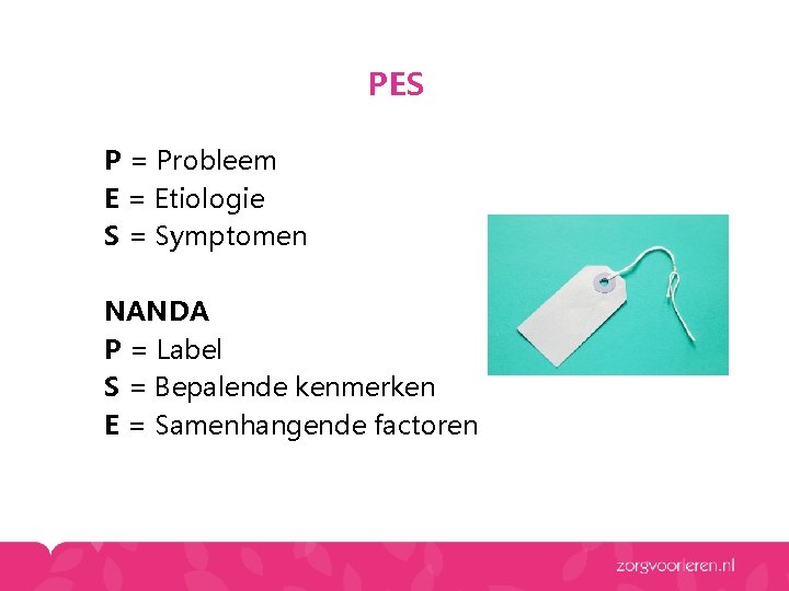 PES P = Probleem E = Etiologie S = Symptomen NANDA P = Label PES P = Probleem E = Etiologie S = Symptomen NANDA P = Label