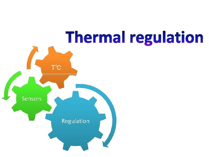 Thermal T℃ Sensors Regulation 