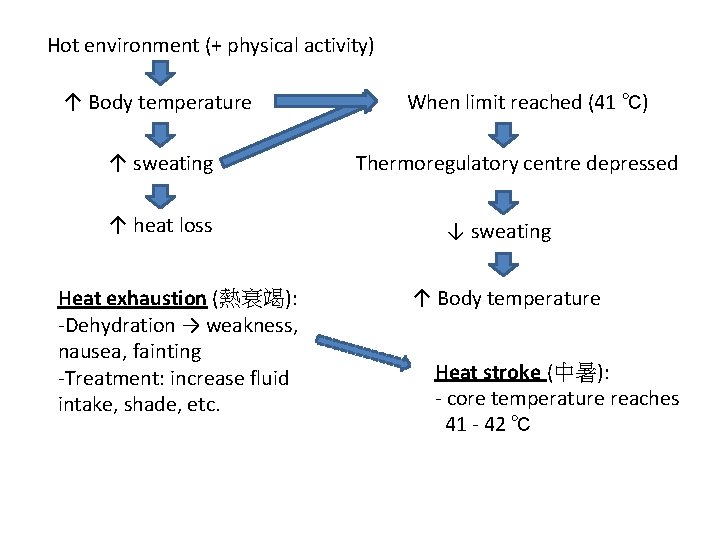 Hot environment (+ physical activity) ↑ Body temperature ↑ sweating ↑ heat loss Heat