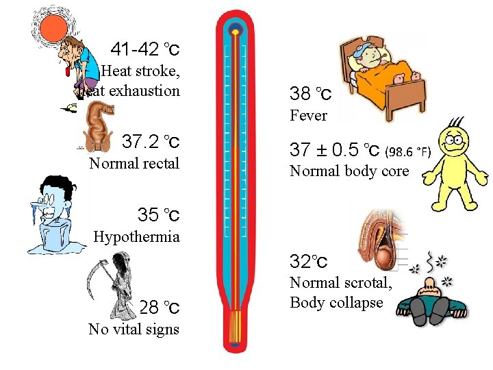41 -42 ℃ Heat stroke, heat exhaustion 38 ℃ Fever 37. 2 ℃ Normal