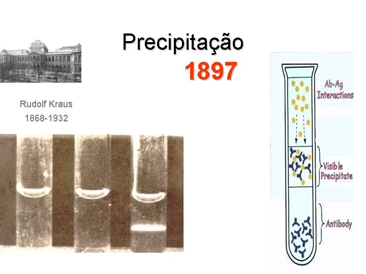 Precipitação 1897 Rudolf Kraus 1868 -1932 