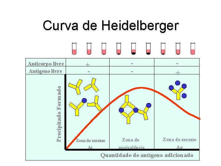 Curva de Heidelberger Precipitado Formado Anticorpo livre Antígeno livre - + Zona de excesso