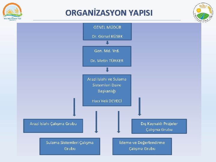 ORGANİZASYON YAPISI 