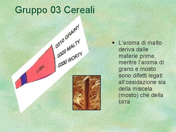 Gruppo 03 Cereali L’aroma di malto deriva dalle materie prime, mentre l’aroma di grano