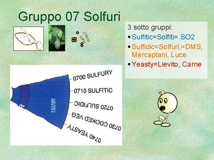 Gruppo 07 Solfuri 3 sotto gruppi: Sulfitic=Solfiti= SO 2 Sulfidic=Solfuri, =DMS, Mercaptani, Luce Yeasty=Lievito,