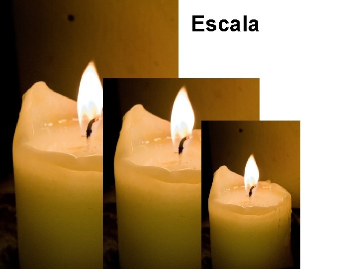 Escala 