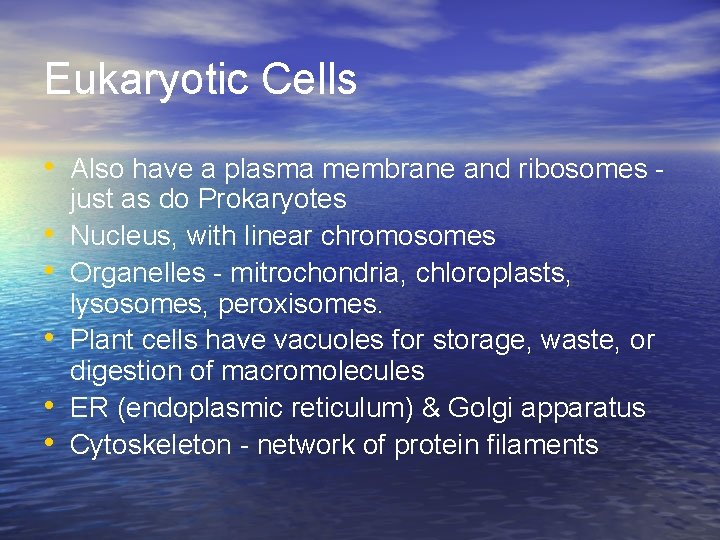 Eukaryotic Cells • Also have a plasma membrane and ribosomes • • • just