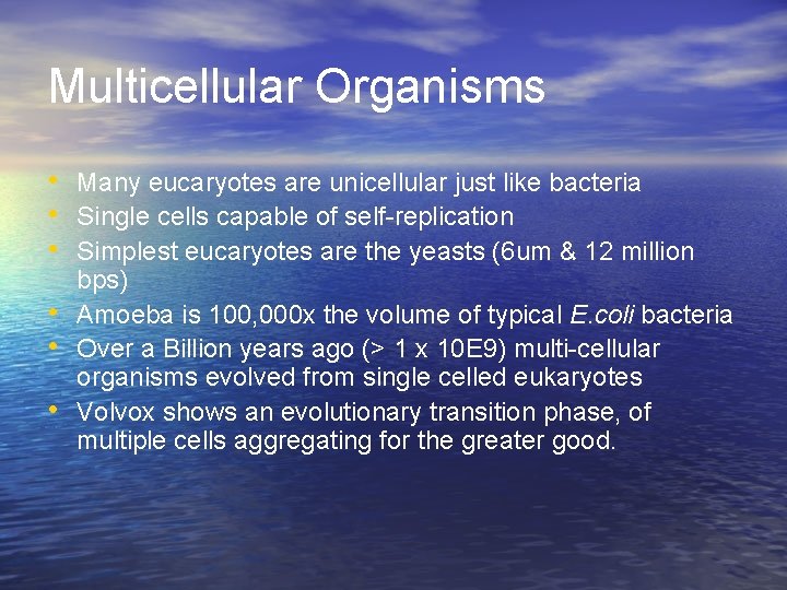 Multicellular Organisms • Many eucaryotes are unicellular just like bacteria • Single cells capable