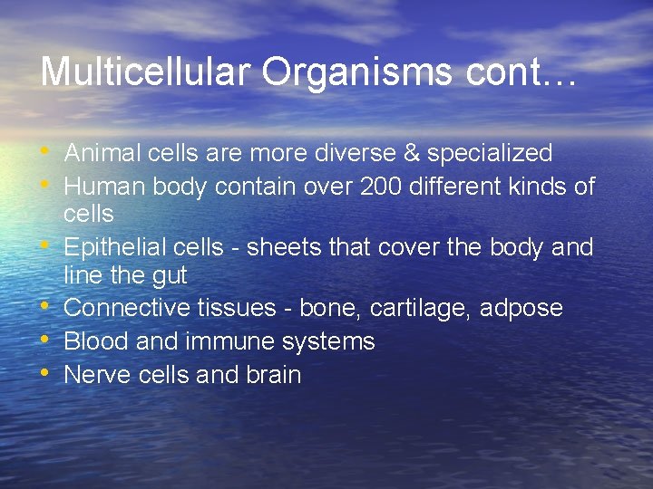 Multicellular Organisms cont… • Animal cells are more diverse & specialized • Human body