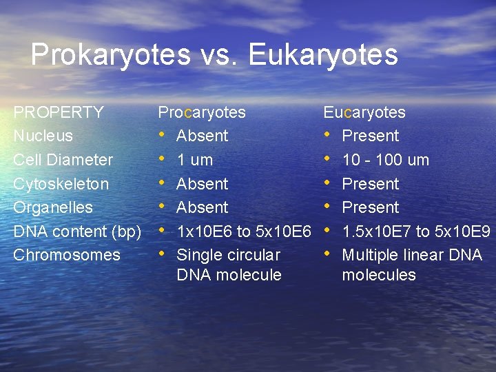 Prokaryotes vs. Eukaryotes PROPERTY Nucleus Cell Diameter Cytoskeleton Organelles DNA content (bp) Chromosomes Procaryotes