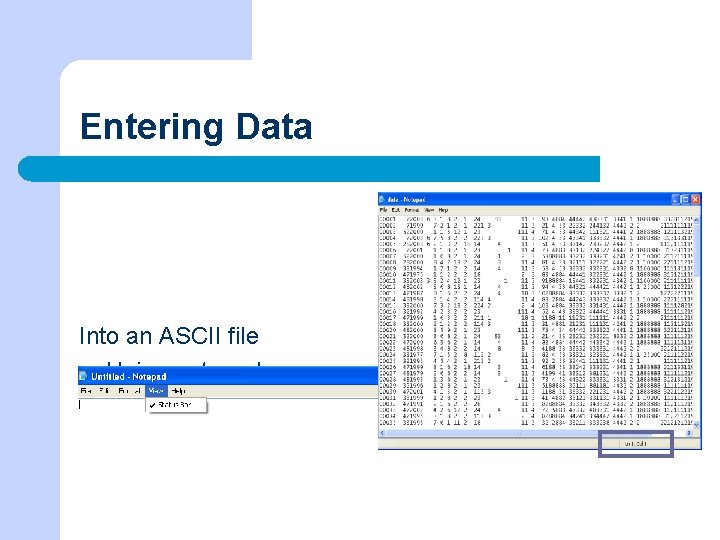 Entering Data Into an ASCII file l Using notepad l Use your coded survey