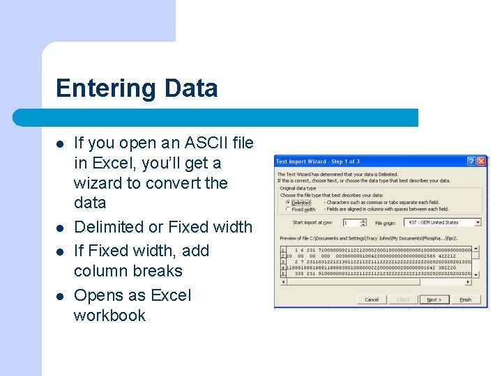 Entering Data l l If you open an ASCII file in Excel, you’ll get