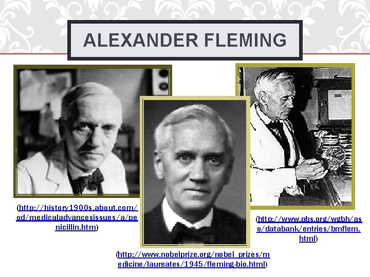ALEXANDER FLEMING (http: //history 1900 s. about. com/ od/medicaladvancesissues/a/pe nicillin. htm) (http: //www. pbs.