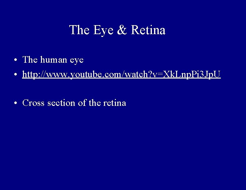The Eye & Retina • The human eye • http: //www. youtube. com/watch? v=Xk.