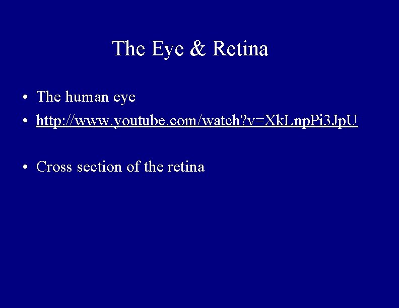 The Eye & Retina • The human eye • http: //www. youtube. com/watch? v=Xk.