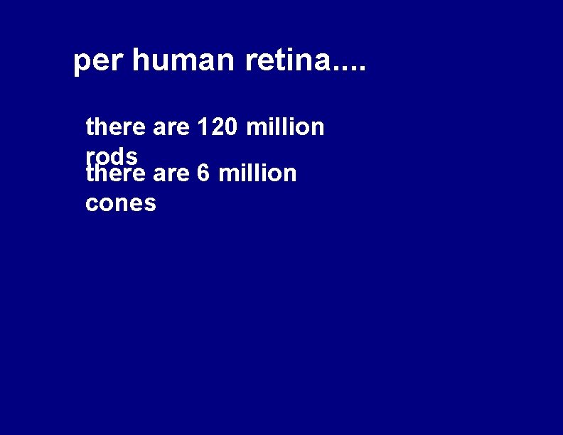 per human retina. . there are 120 million rods there are 6 million cones