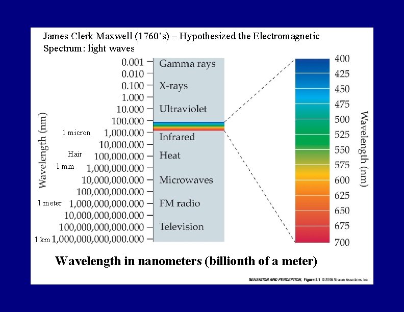 James Clerk Maxwell (1760’s) – Hypothesized the Electromagnetic Spectrum: light waves 1 micron Hair