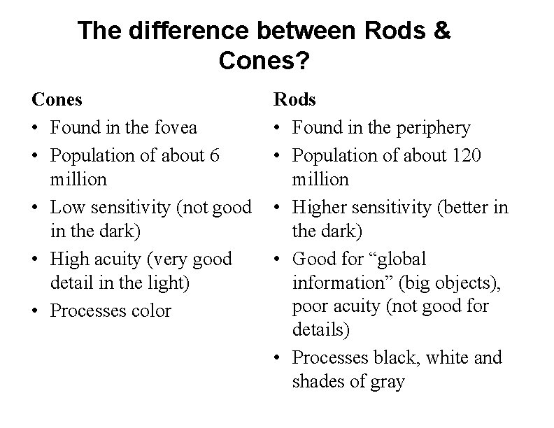 The difference between Rods & Cones? Cones • Found in the fovea • Population