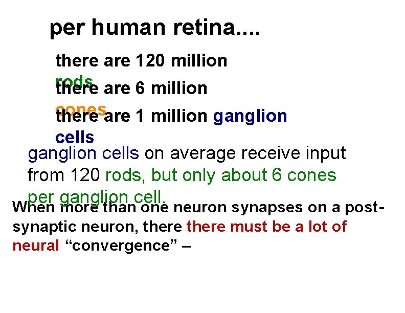 per human retina. . there are 120 million rods there are 6 million cones