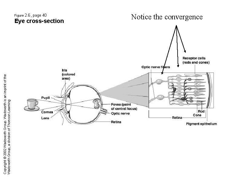 Copyright © 2002 Wadsworth Group. Wadsworth is an imprint of the Wadsworth Group, a