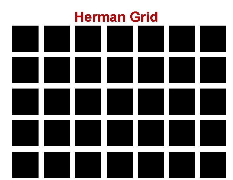 Herman Grid 