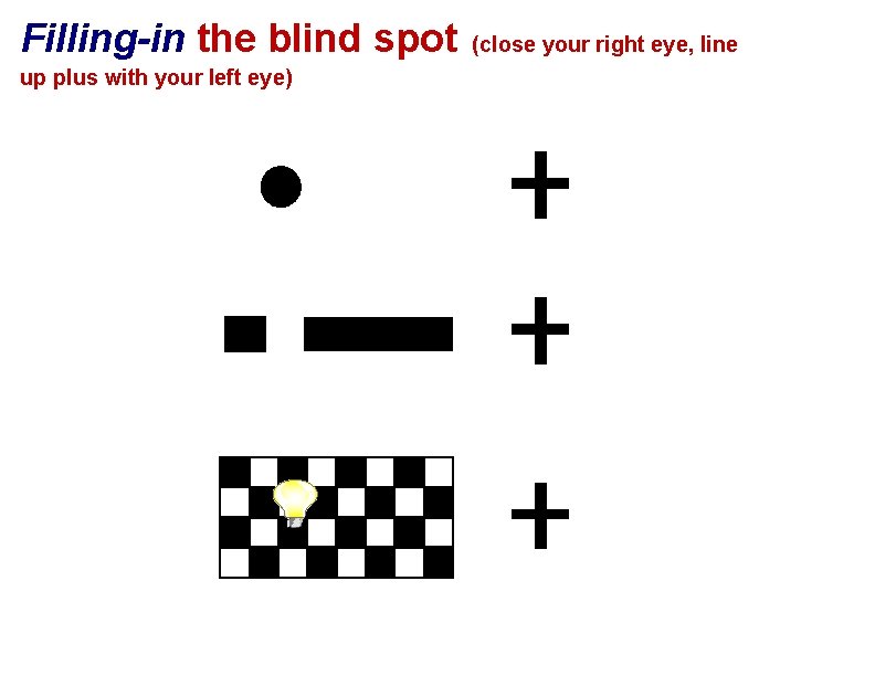 Filling-in the blind spot up plus with your left eye) (close your right eye,