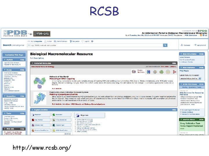 Trs Rscb Structural Biology What does 3 D tell us