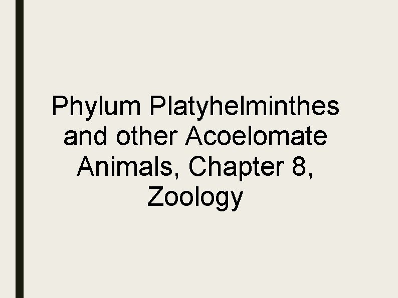 Phylum Platyhelminthes and other Acoelomate Animals, Chapter 8, Zoology 