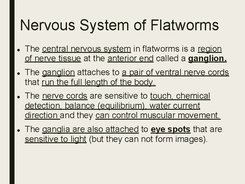 Nervous System of Flatworms The central nervous system in flatworms is a region of