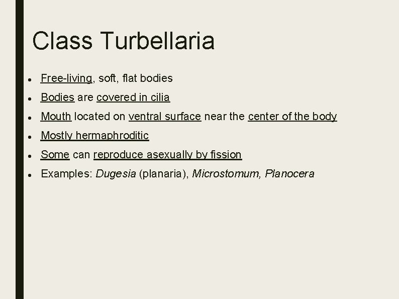 Class Turbellaria Free-living, soft, flat bodies Bodies are covered in cilia Mouth located on