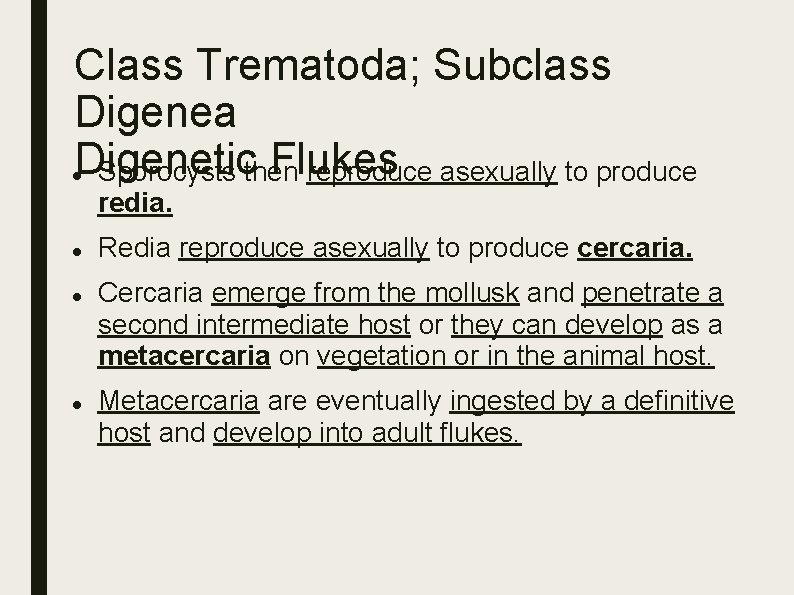 Class Trematoda; Subclass Digenea Digenetic Flukes Sporocysts then reproduce asexually to produce redia. Redia