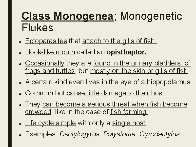 Class Monogenea; Monogenetic Flukes Ectoparasites that attach to the gills of fish. Hook-like mouth