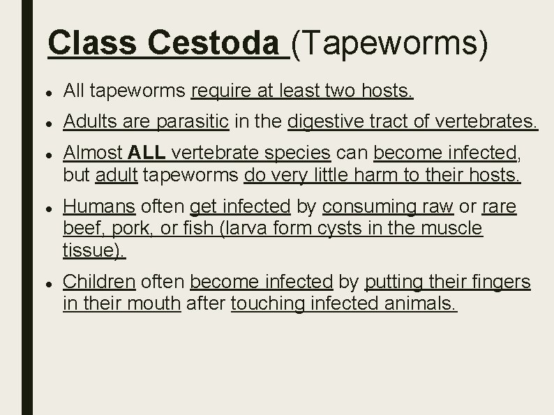 Class Cestoda (Tapeworms) All tapeworms require at least two hosts. Adults are parasitic in