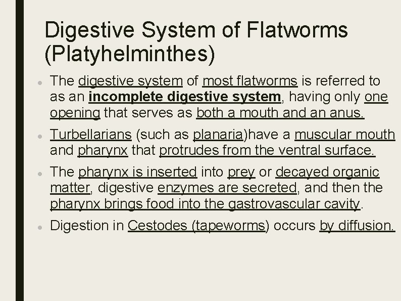 Digestive System of Flatworms (Platyhelminthes) The digestive system of most flatworms is referred to