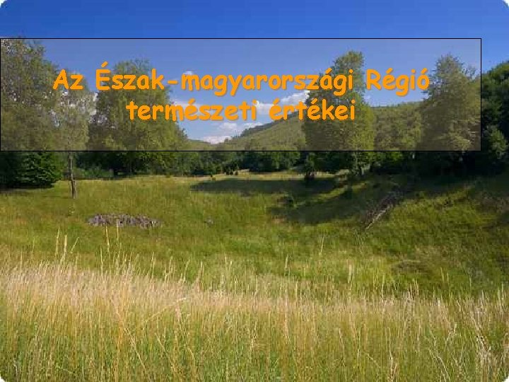 Az Észak-magyarországi Régió természeti értékei 