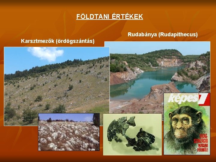 FÖLDTANI ÉRTÉKEK Rudabánya (Rudapithecus) Karsztmezők (ördögszántás) 