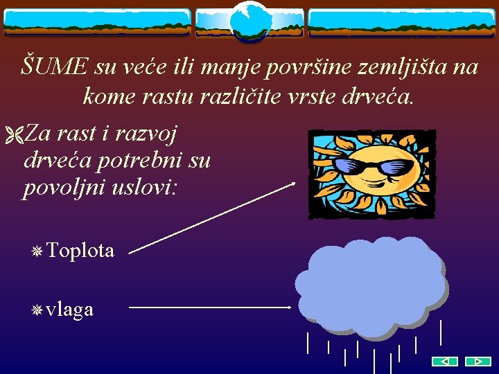 ŠUME su veće ili manje površine zemljišta na kome rastu različite vrste drveća. ËZa