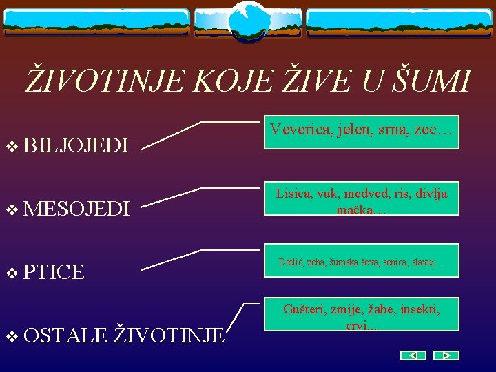 ŽIVOTINJE KOJE ŽIVE U ŠUMI v BILJOJEDI v MESOJEDI Lisica, vuk, medved, ris, divlja