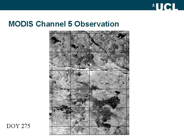 MODIS Channel 5 Observation DOY 275 