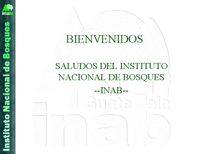 BIENVENIDOS SALUDOS DEL INSTITUTO NACIONAL DE BOSQUES --INAB-- 