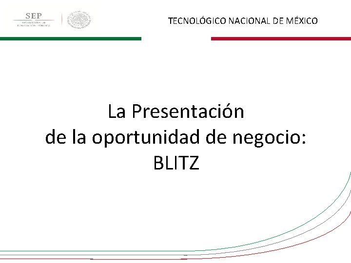 TECNOLÓGICO NACIONAL DE MÉXICO La Presentación de la oportunidad de negocio: BLITZ 
