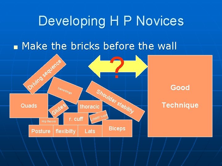 Developing H P Novices n Make the bricks before the wall ng ir vi