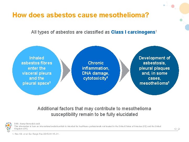 seer data mesothelioma