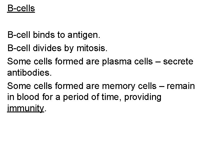 B-cells B-cell binds to antigen. B-cell divides by mitosis. Some cells formed are plasma