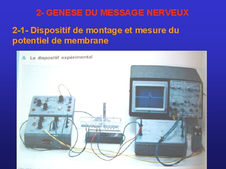 2 - GENESE DU MESSAGE NERVEUX 2 -1 - Dispositif de montage et mesure