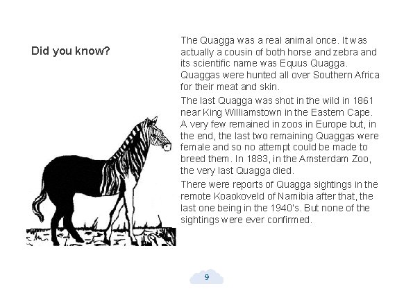 Did you know? The Quagga was a real animal once. It was actually a