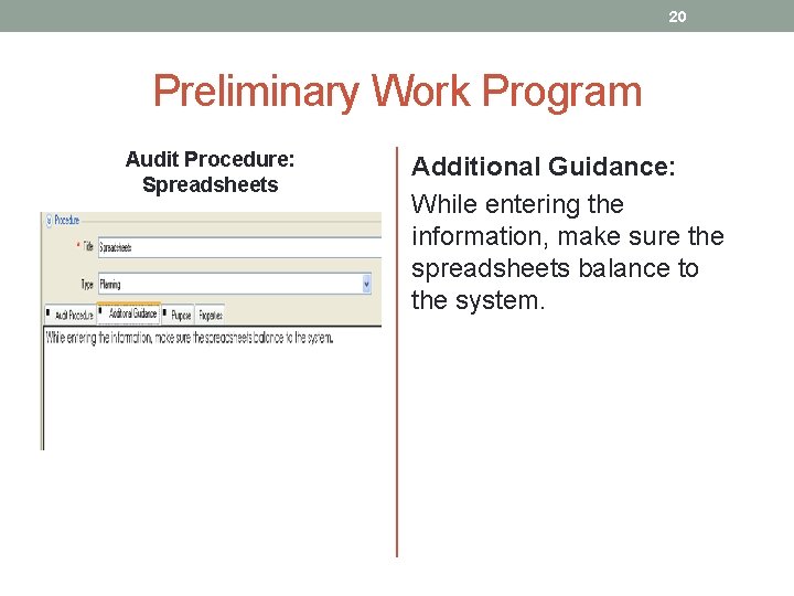 20 Preliminary Work Program Audit Procedure: Spreadsheets Additional Guidance: While entering the information, make