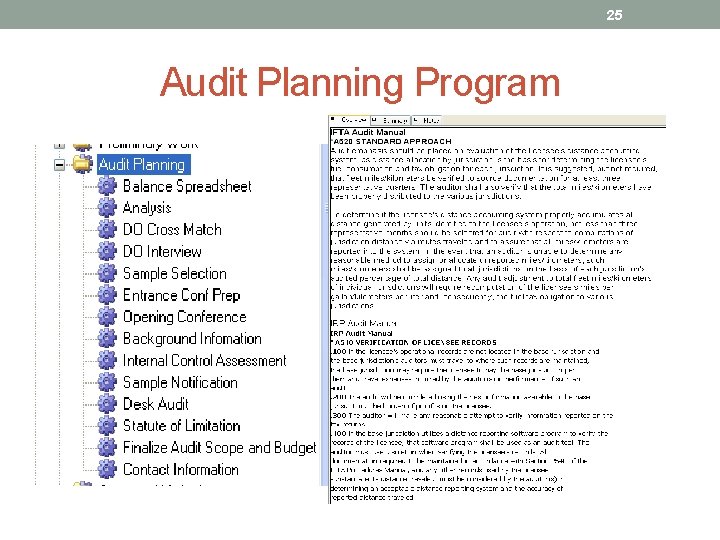 25 Audit Planning Program 